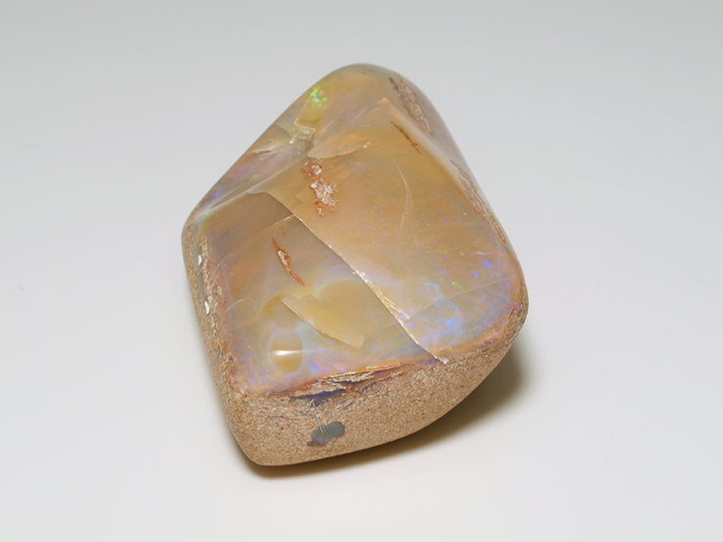 Australische Opale Onlineshop - Fossil Opal