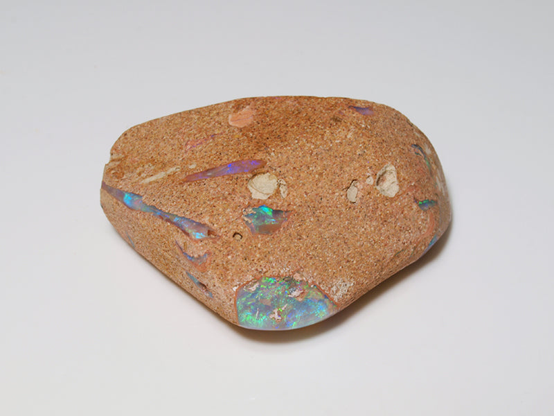 Opal Australien - Fossil Opal