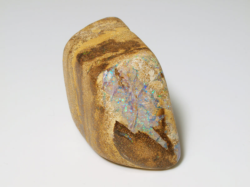 Opal Australien kaufen - Fossil Opal