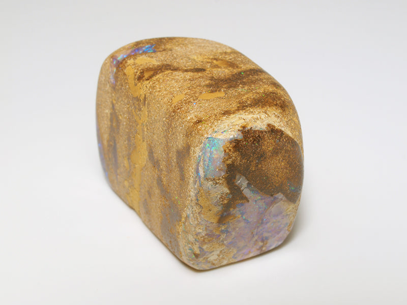 Opal Australien kaufen - Fossil Opal