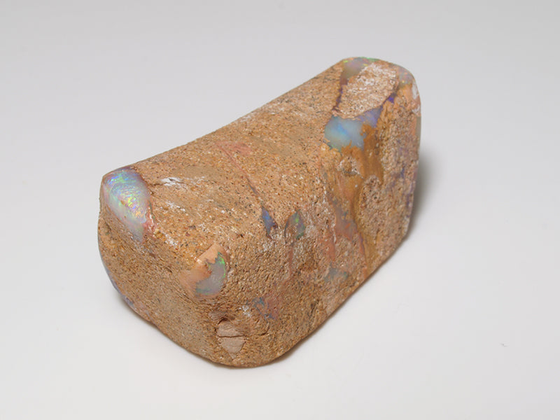 Opal Australien - Fossil Opal