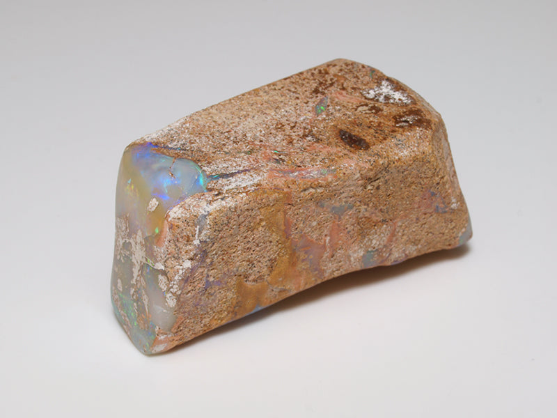 Opal Australien - Fossil Opal