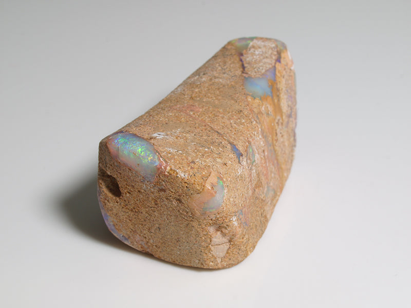 Opal Australien - Fossil Opal