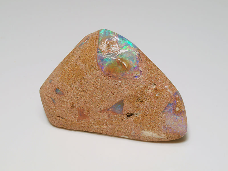 Opal Australien - Fossil Opal