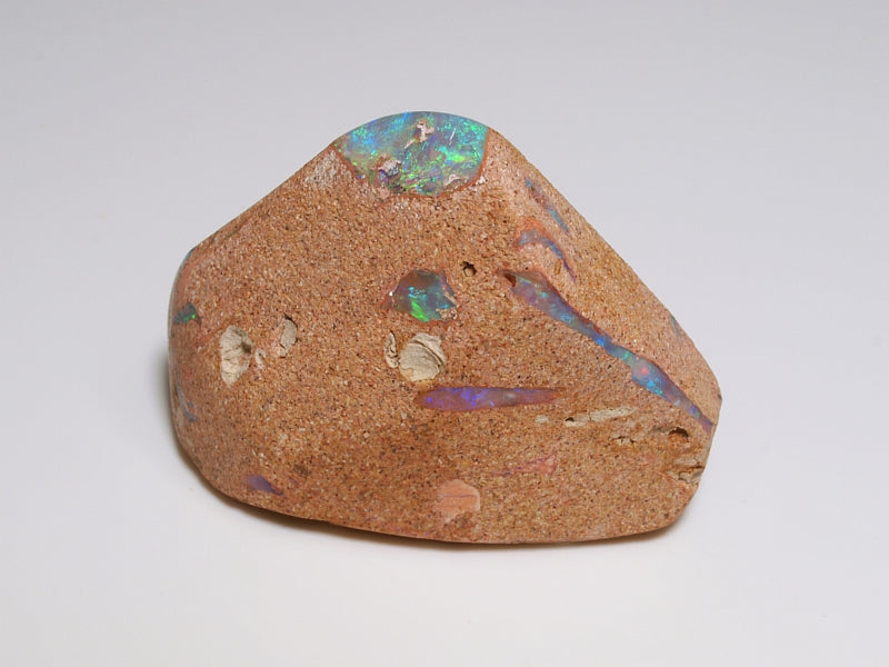 Opal Australien - Fossil Opal