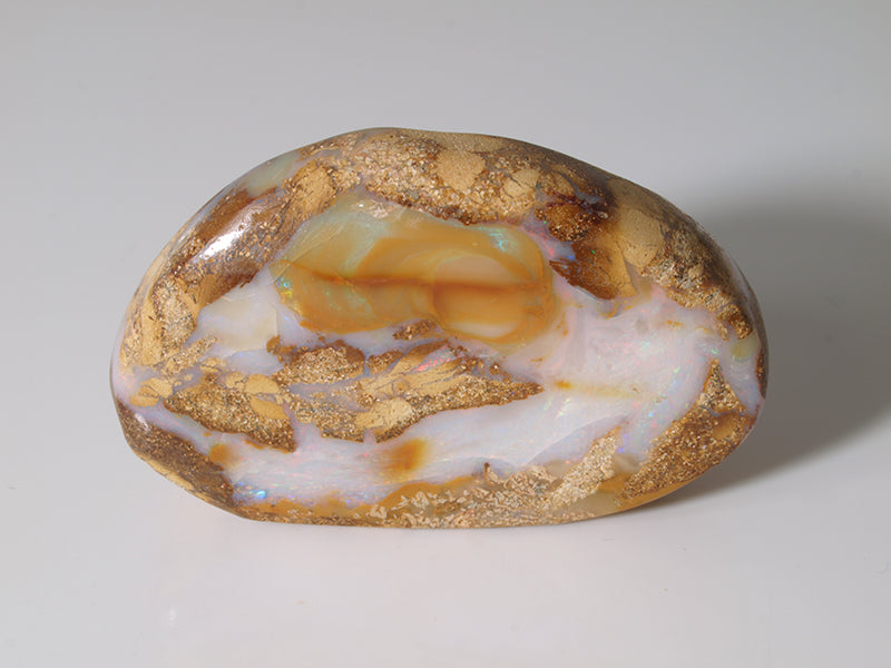 Opal Onlineshop - Fossil Opal