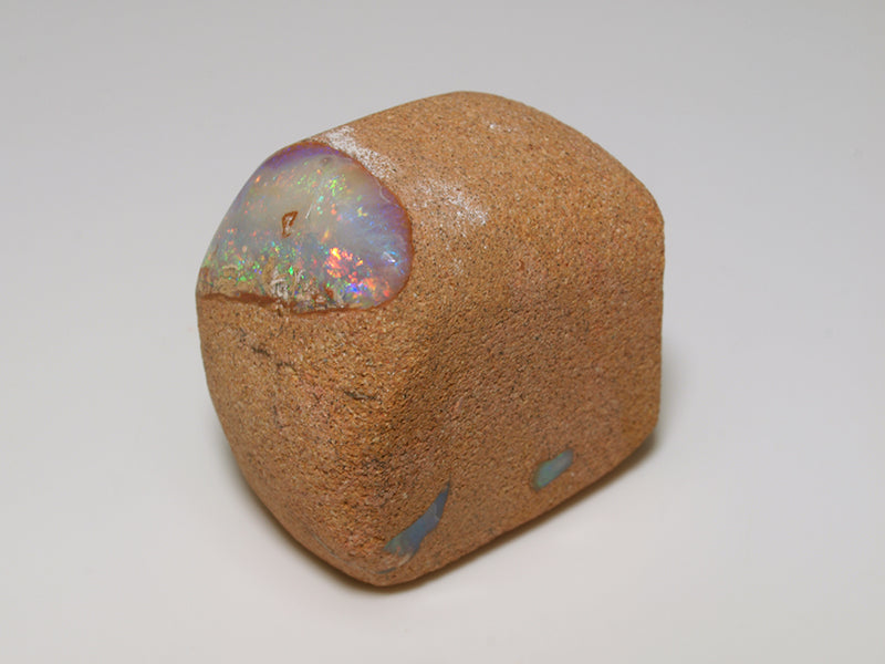 Opal aus Australien - Fossil Opal