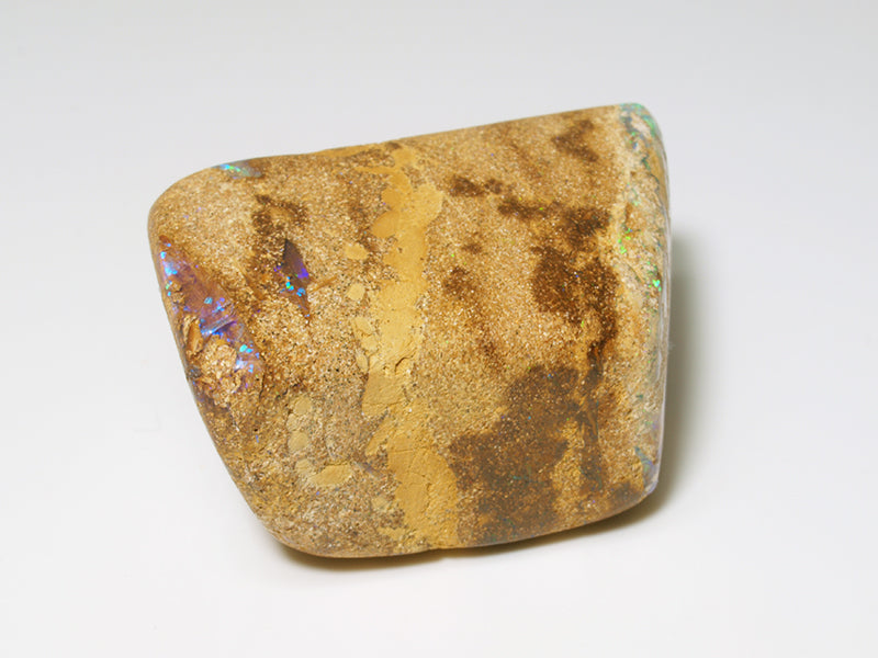 Opal Australien kaufen - Fossil Opal