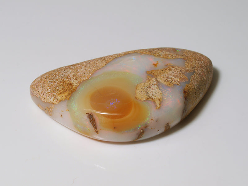 Opal Australien - Fossil Opal im Onlineshop